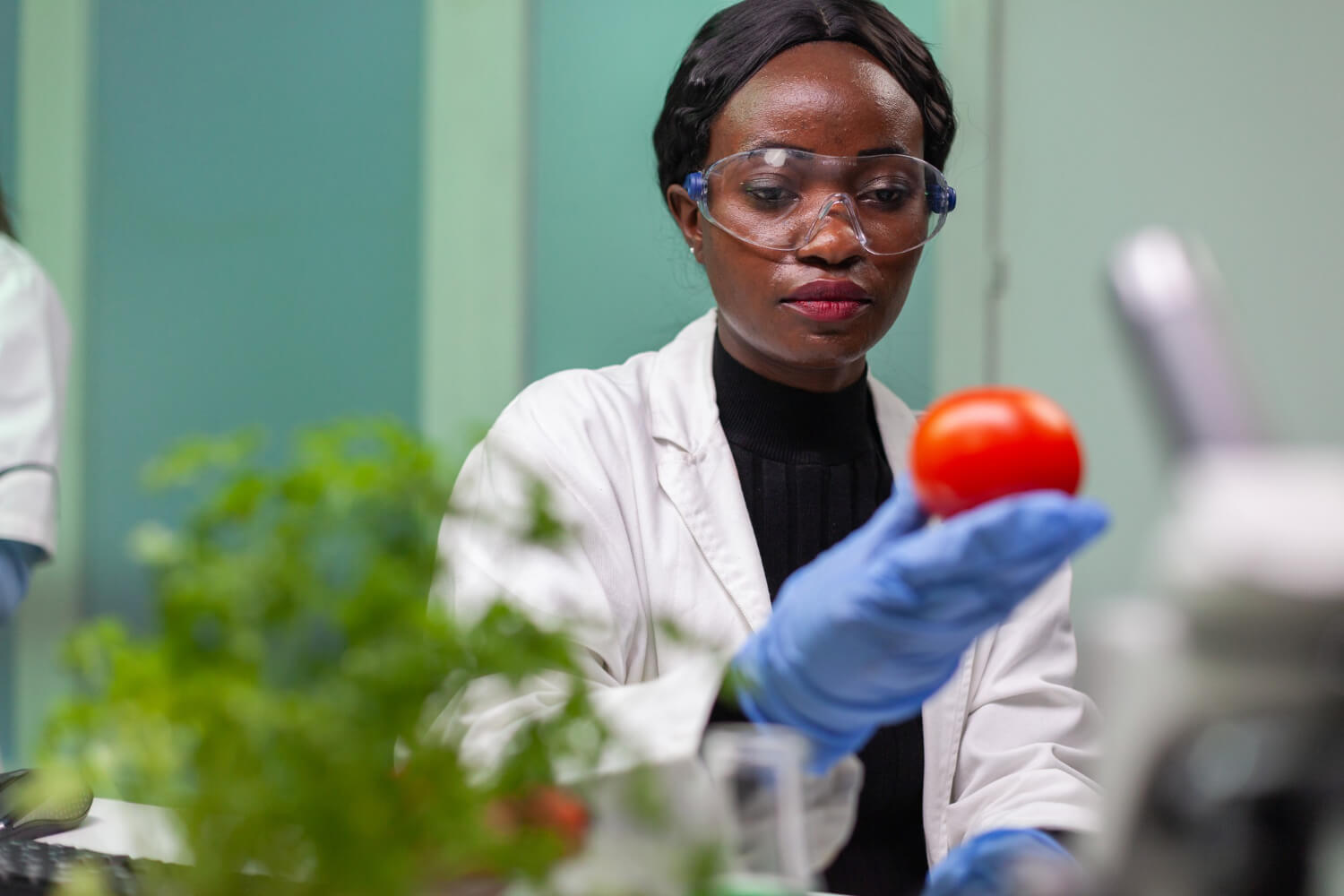 Agricultural Science student in lab testing tomatoes